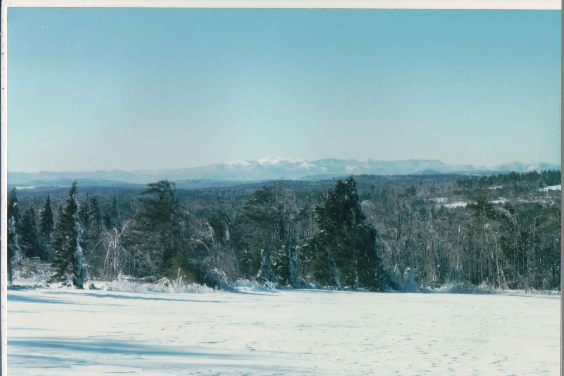 Mike Thorne, Ice Storm ’98 064