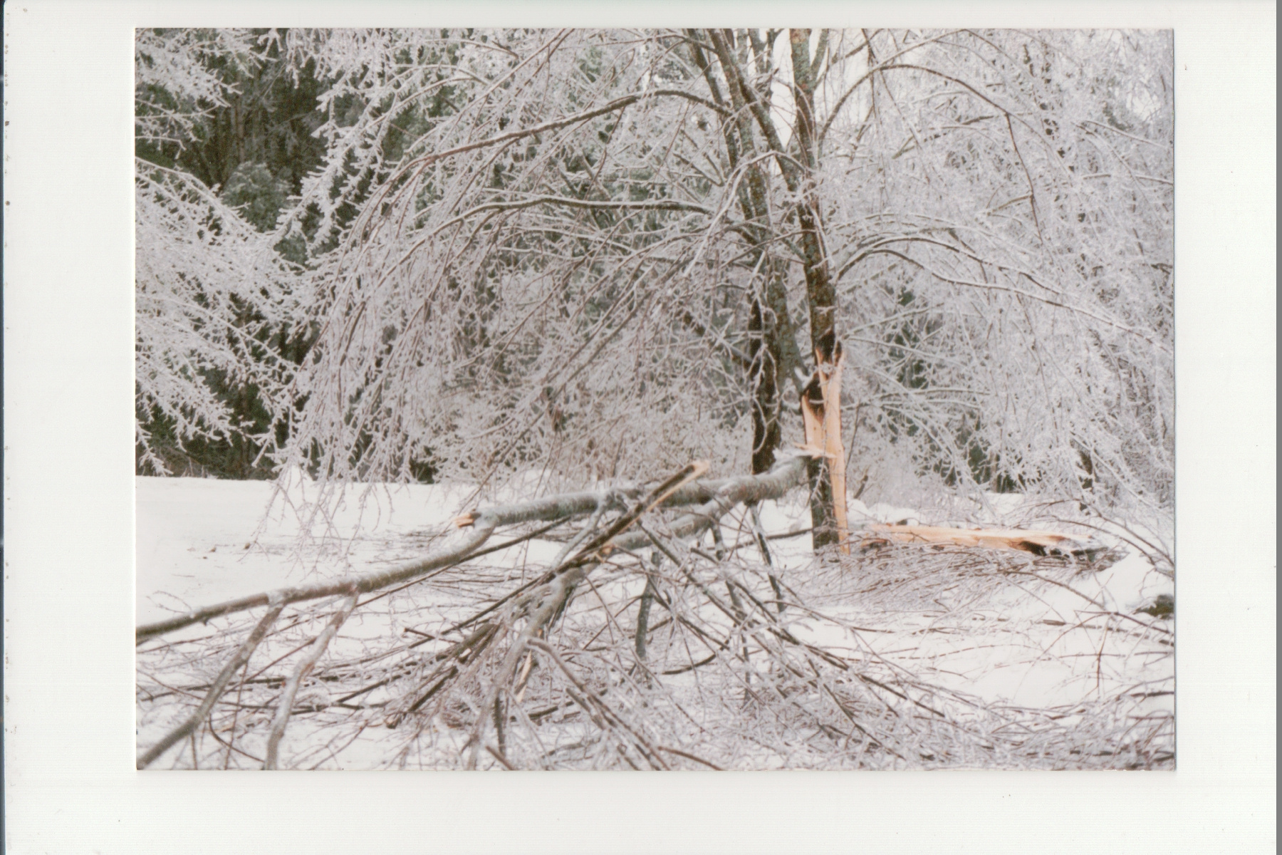 Jackson driveway, Gore Rd,