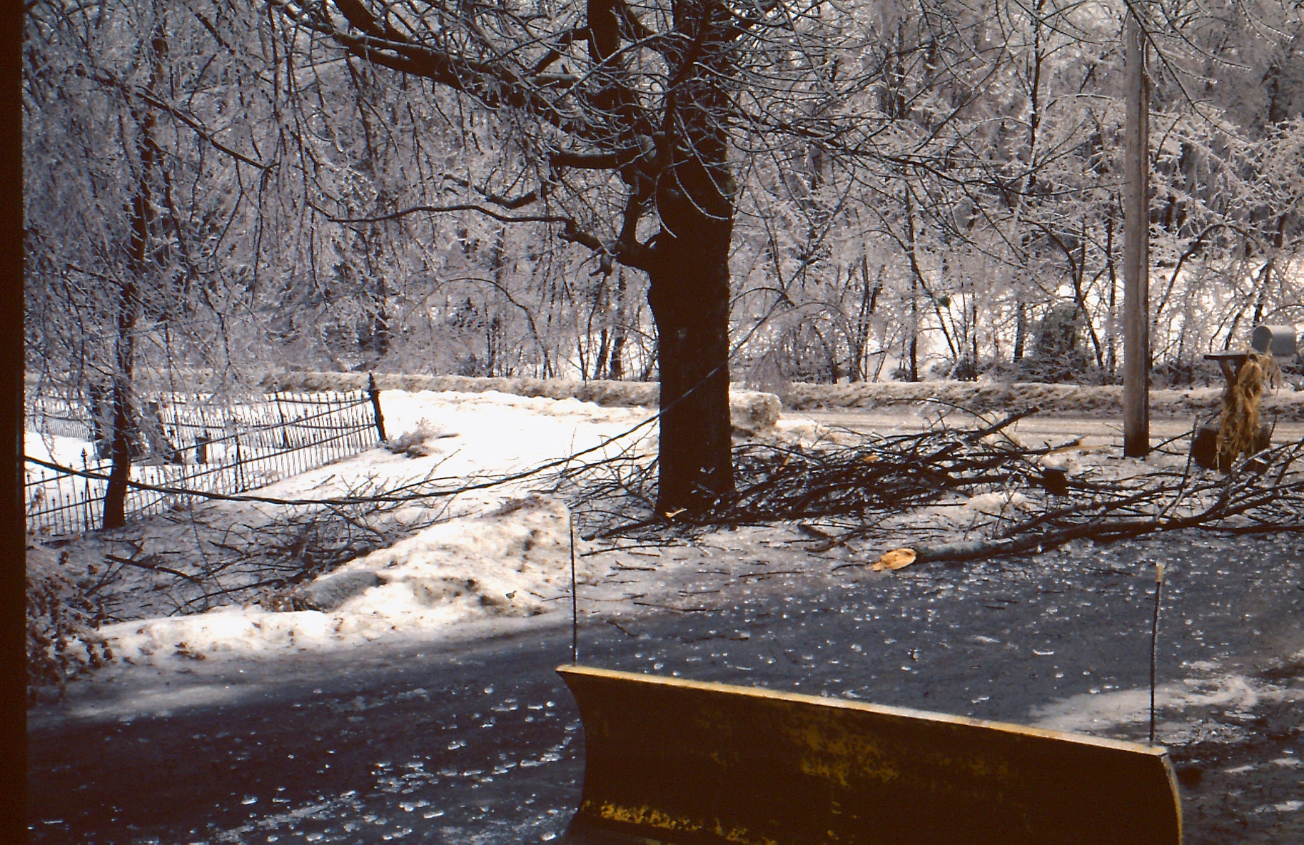 Maples, Bell Hill Cemetery