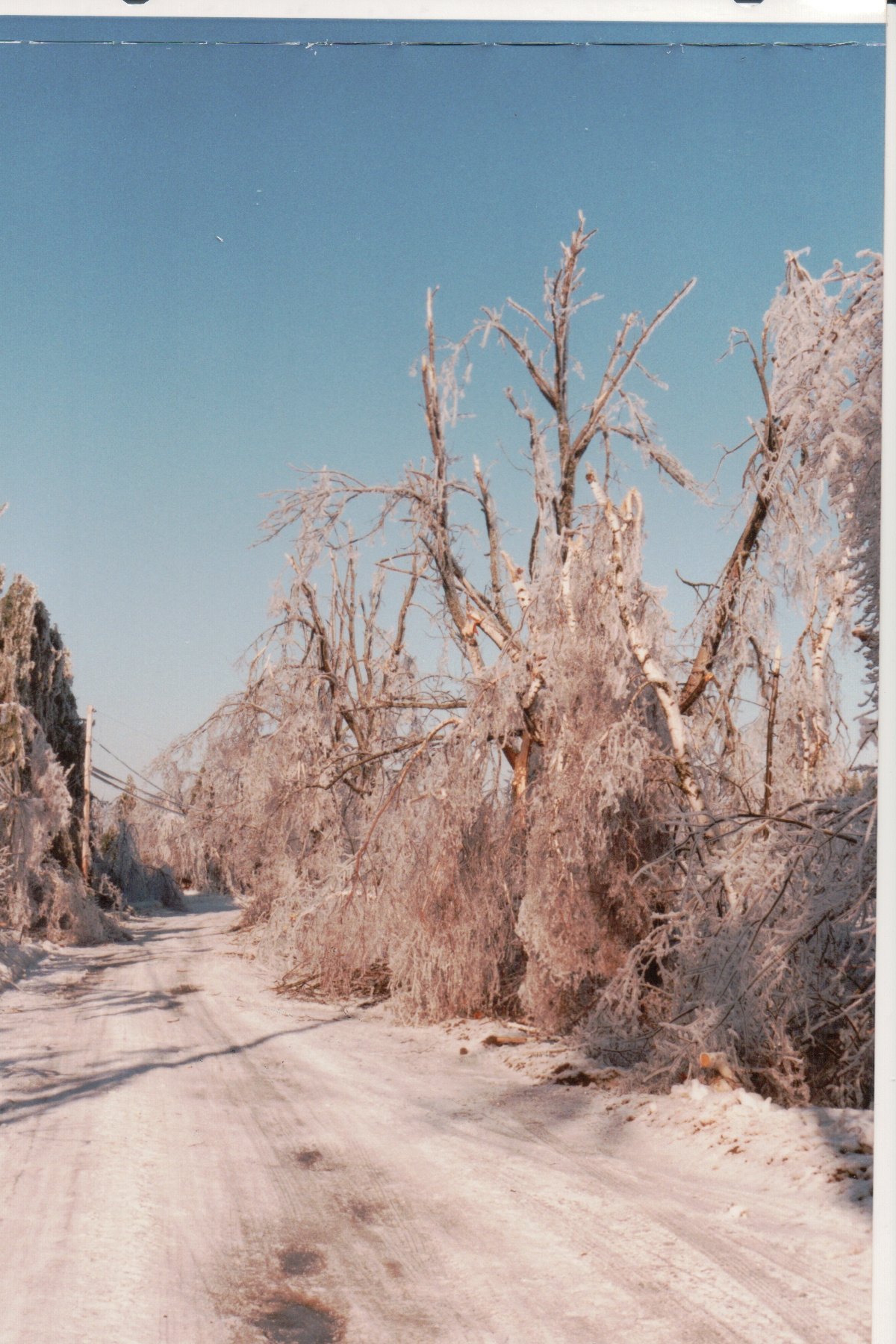 Delehanty ice storm Scribner Hill 024