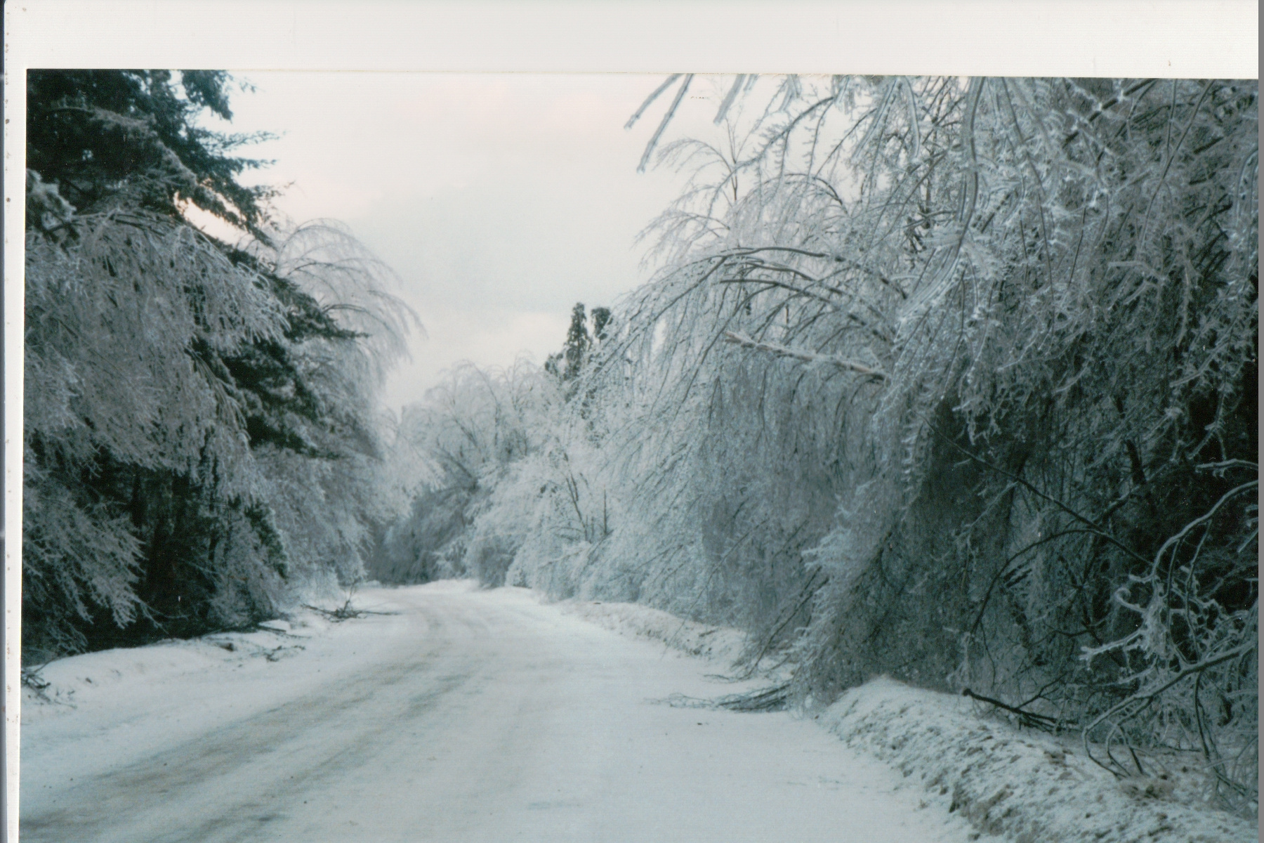 Mike Thorne, Ice Storm ’98 018