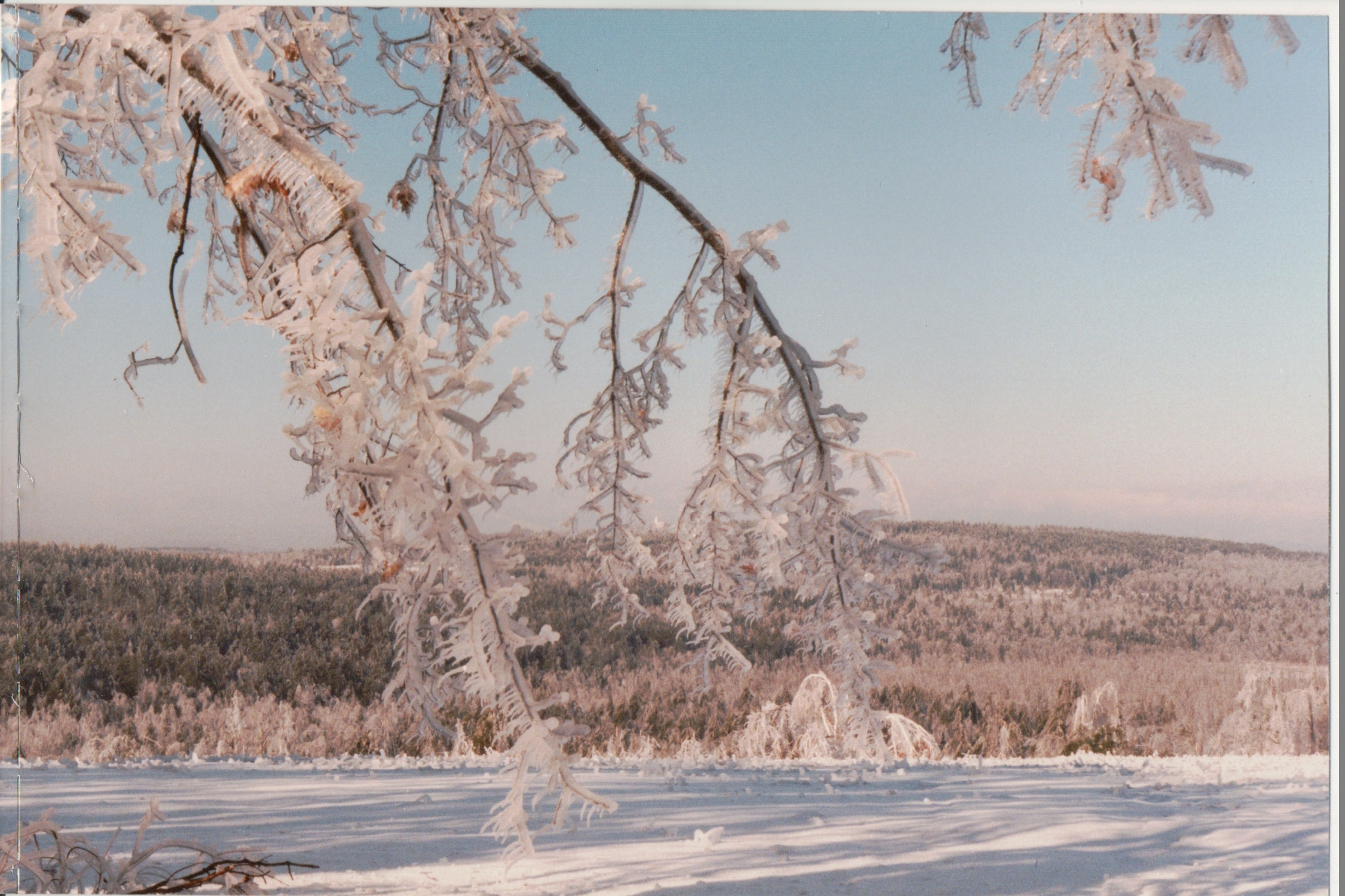 Delehanty ice storm Scribner Hill 019