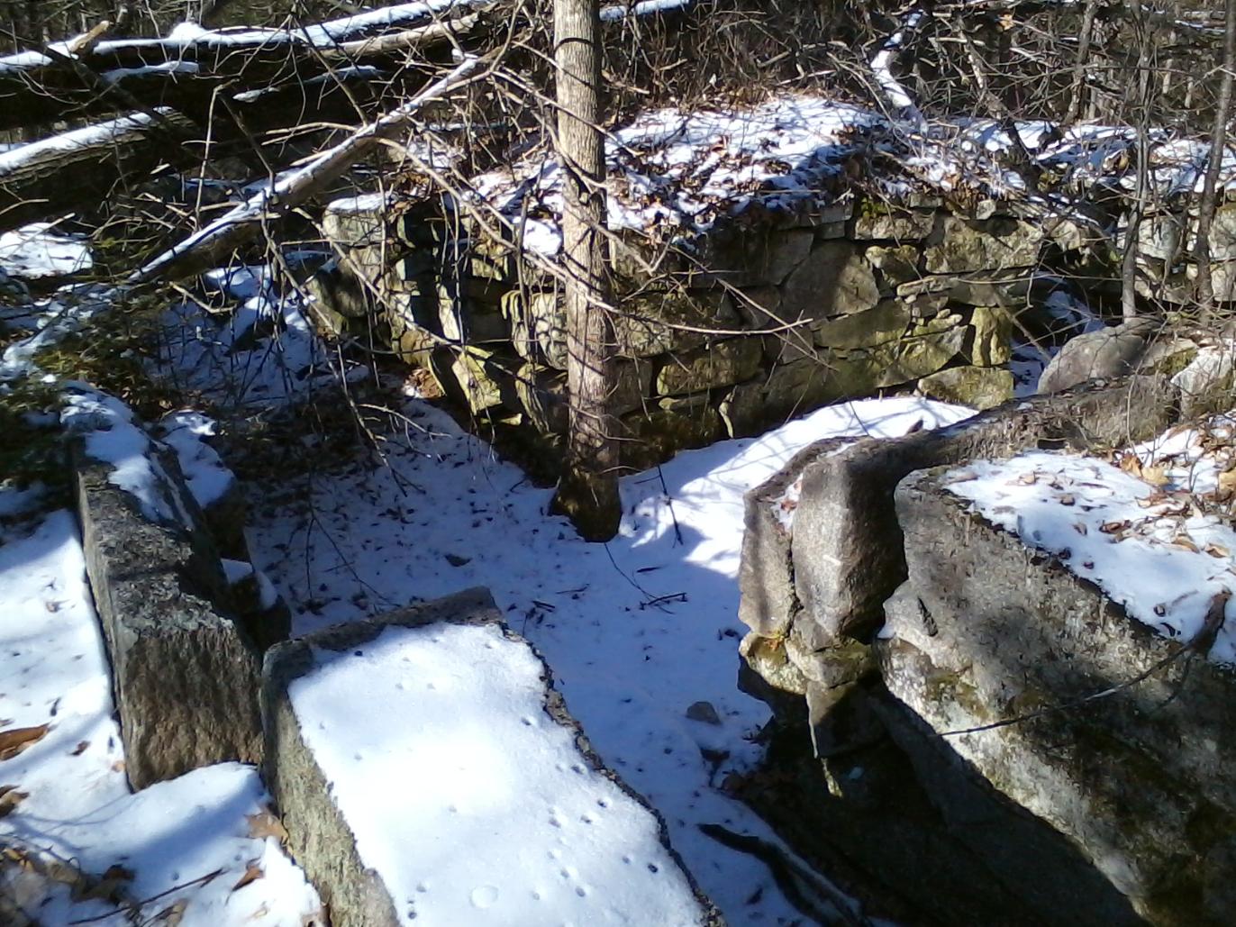 Another view of the first poor farm’s foundations. Photograph by Alana Grover.