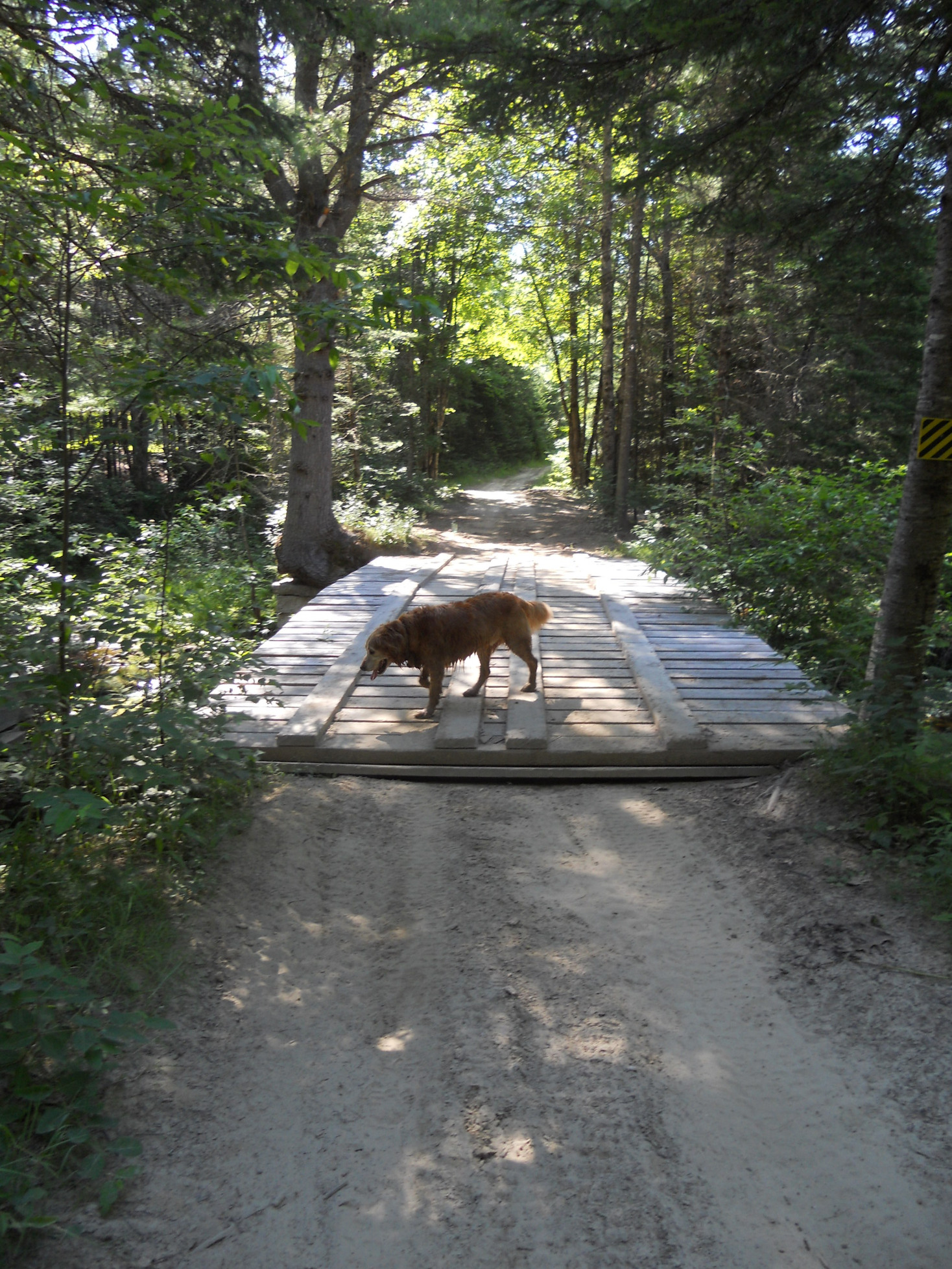 Smith Brook bridge, Jugtown Road, July 2012