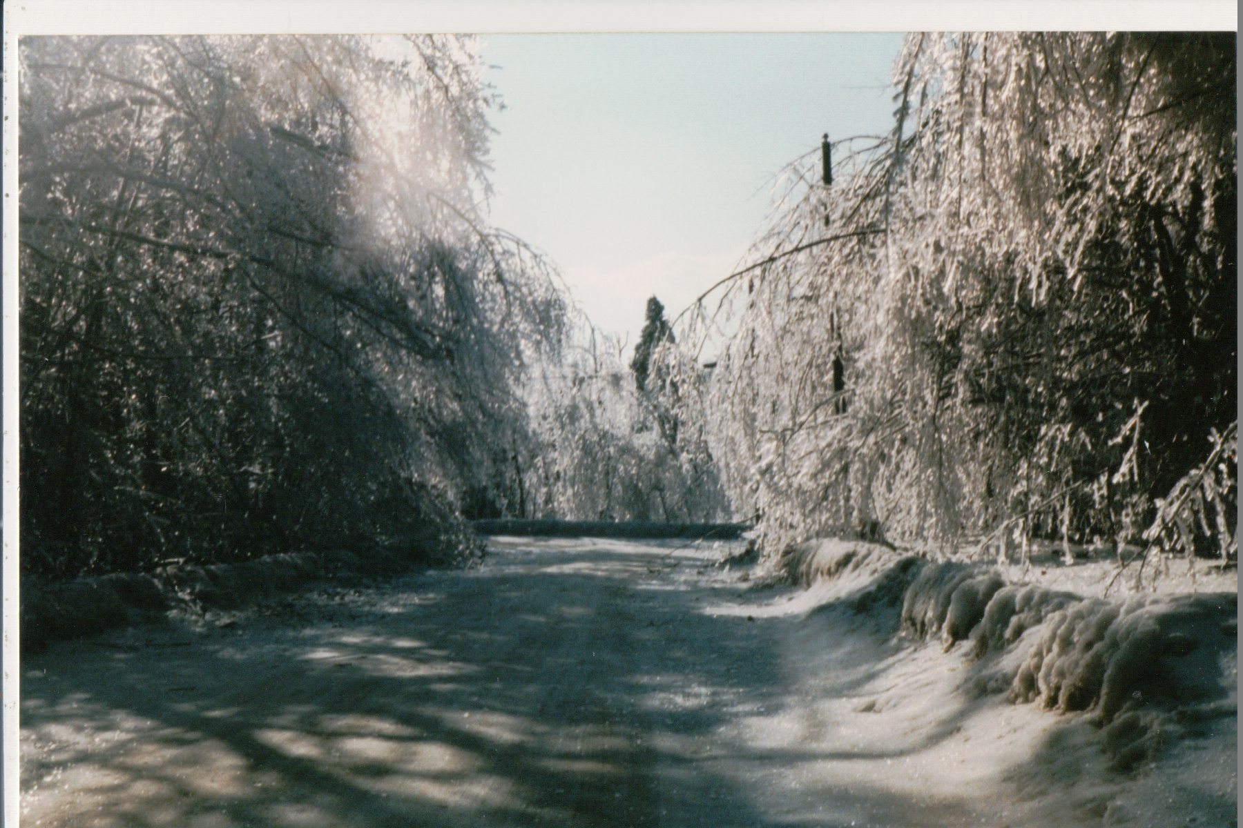 Mike Thorne, Ice Storm ’98 015