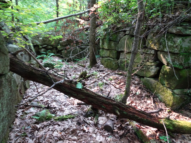 Foundations of the Poor Farm on Swampville Road