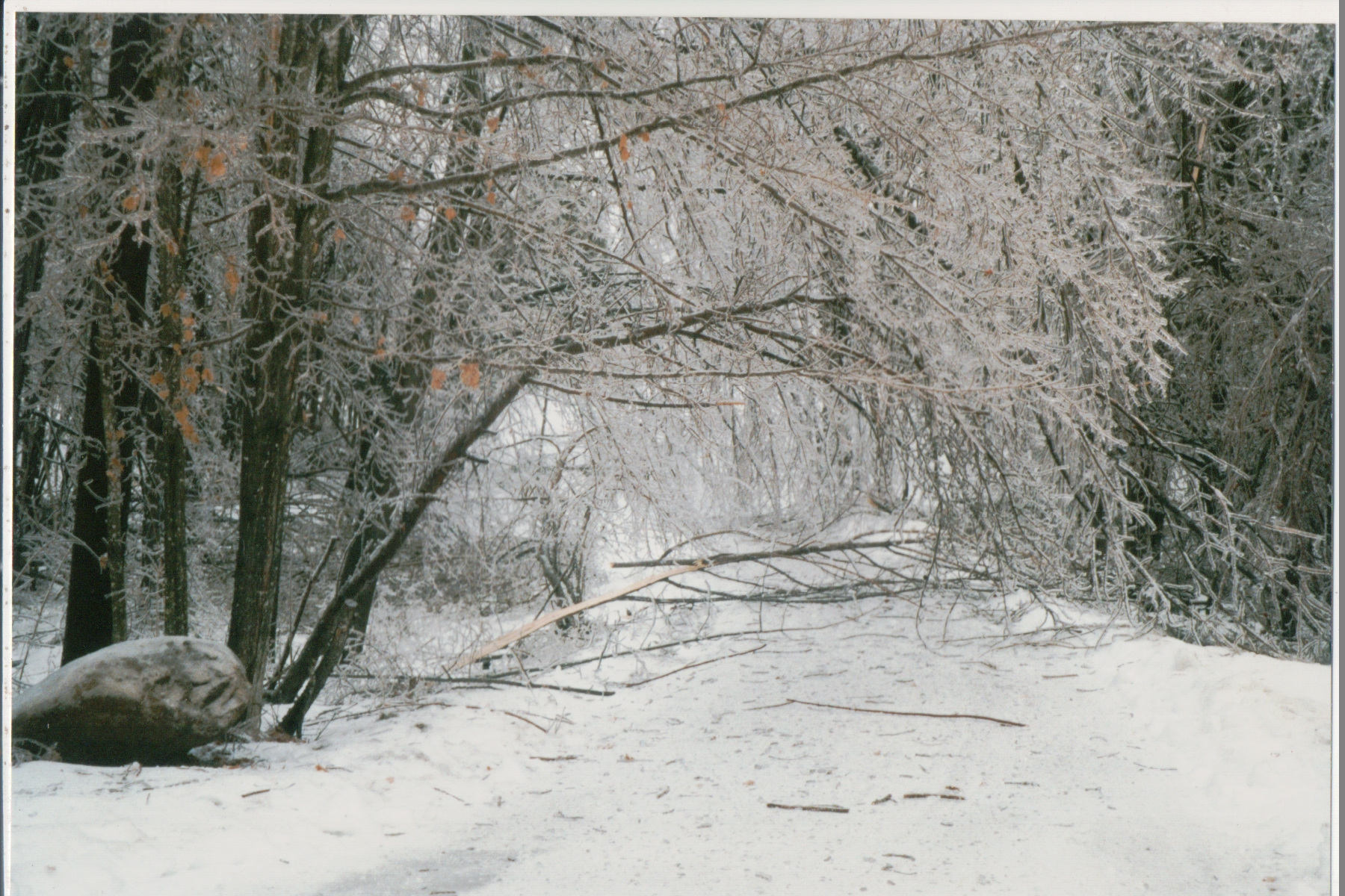 Mike Thorne, Ice Storm ’98 041