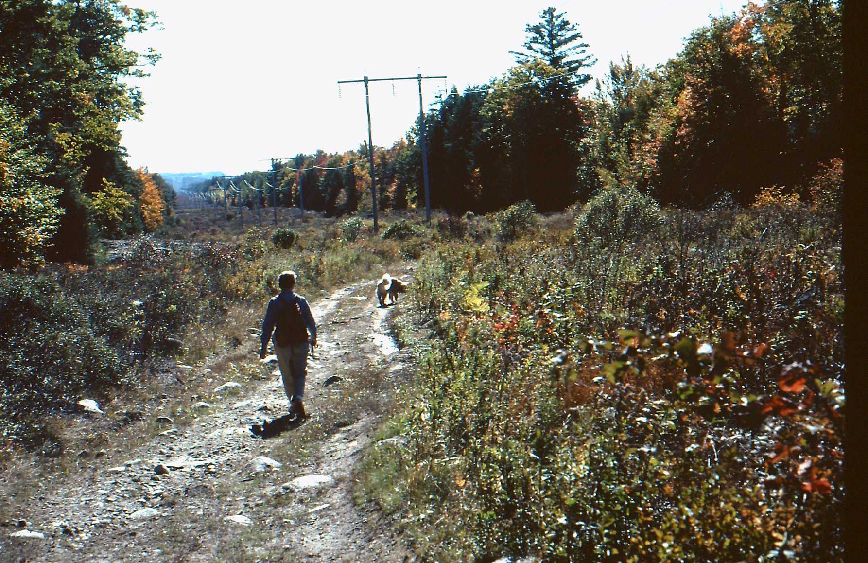 Jean Hankins, walking in Jugtown, 2009