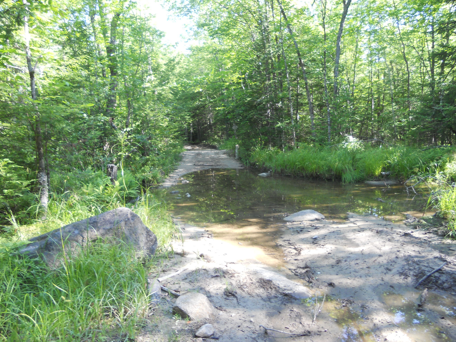 Mud puddle, north end Jugtown Road, July 2012