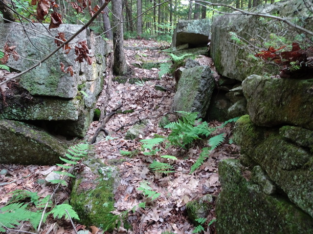 Foundations of the Poor Farm on Swampville Road