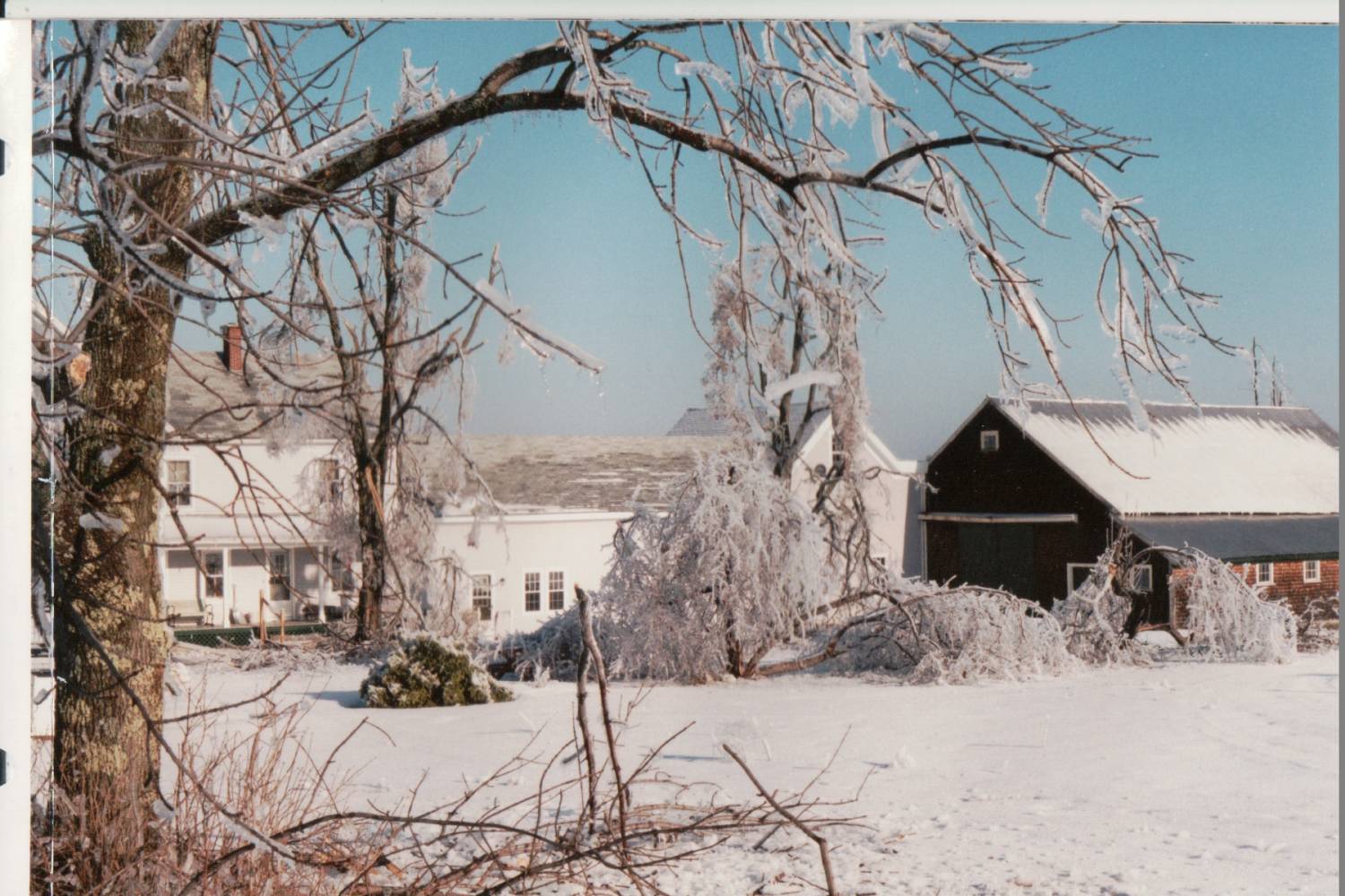 Ice Storm 1998 – Scribner Hill
