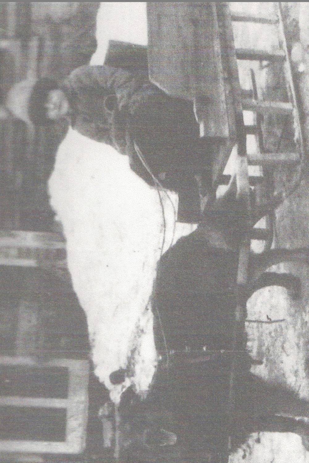 Dorothy Lombard and her dog cart