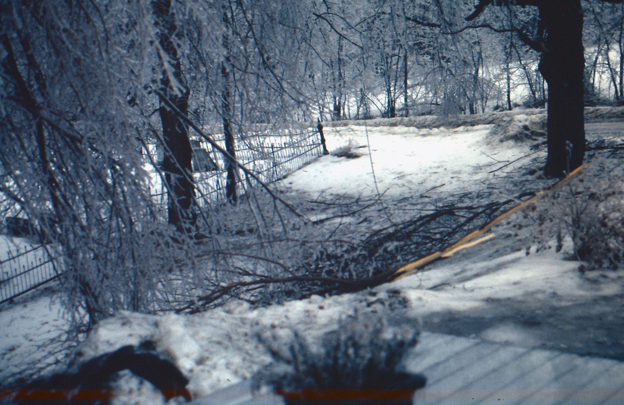 Bell Hill Cemetery fence ’98