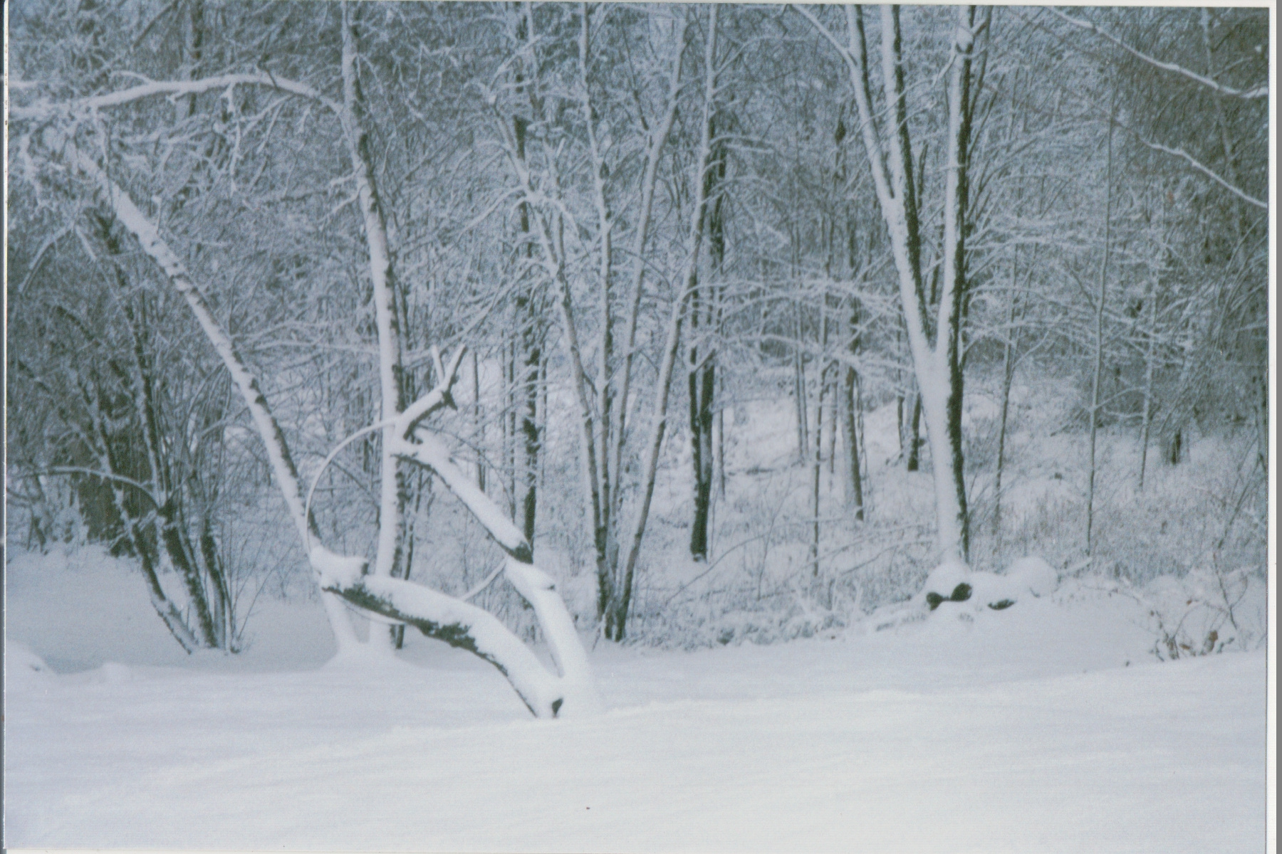 Mike Thorne, Ice Storm ’98 026
