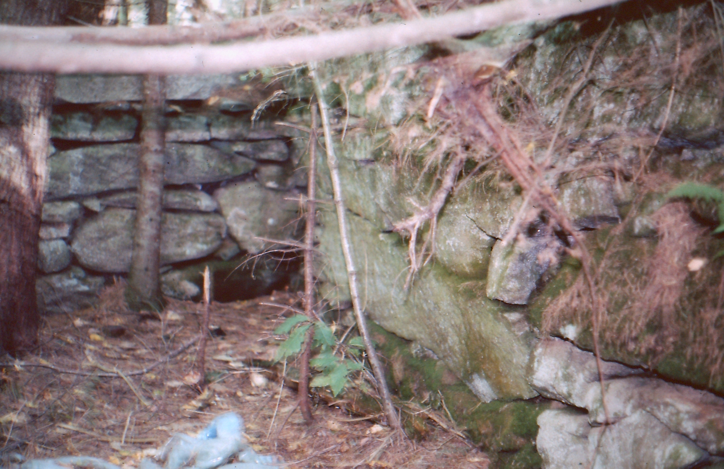 Hamlin House Cellar Hole, Jugtown, 2009