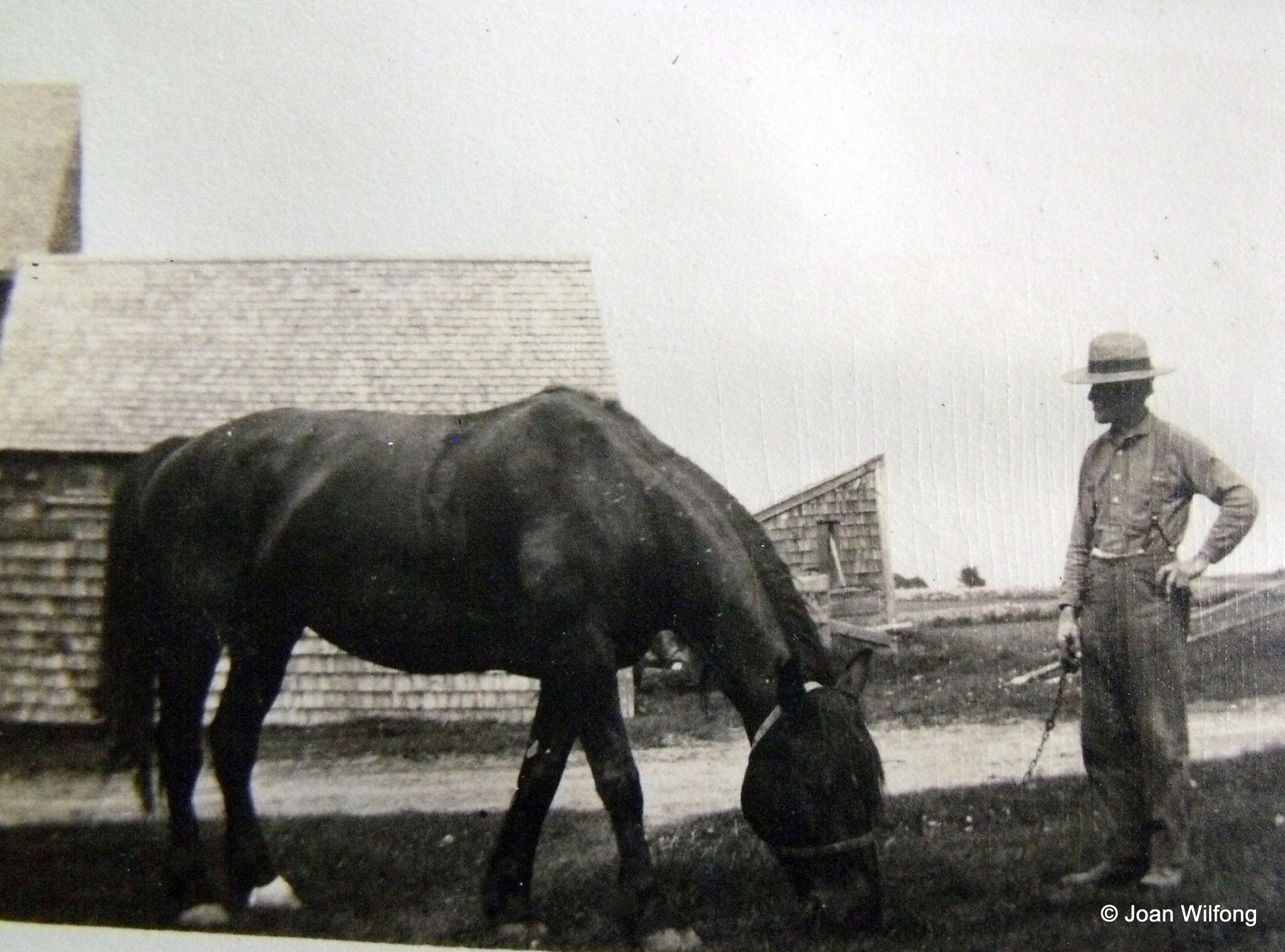 George Albert Edwards, holding his horse on the Scribner Hill Road that ran between his home and his barns. In the background, a small chicken house and the horse stalls that were hooked to the big barn. All of the buildings on this side of the road have been gone for many, many years Donated by: Joan Welch Wilfong