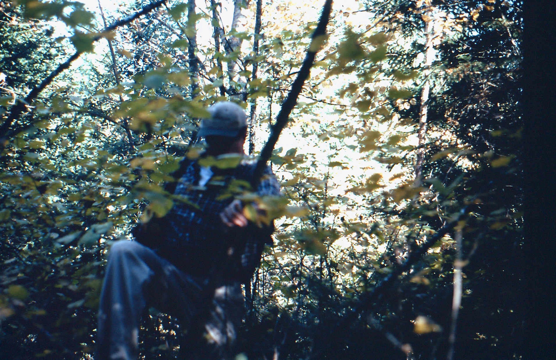 David Hankins searching for a dam, Jugtown, 2009