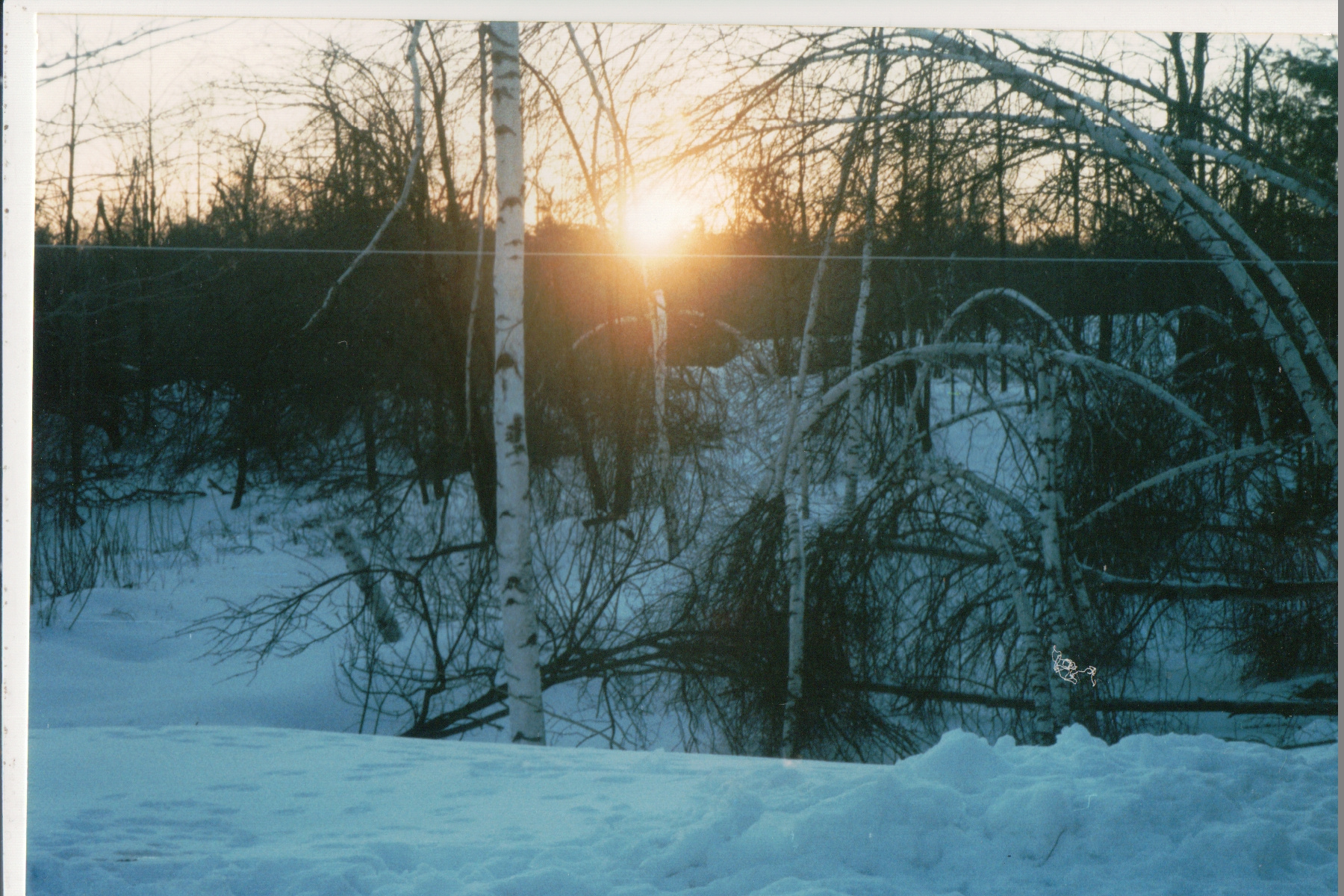 Mike Thorne, Ice Storm ’98 061